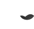 IAC-icon