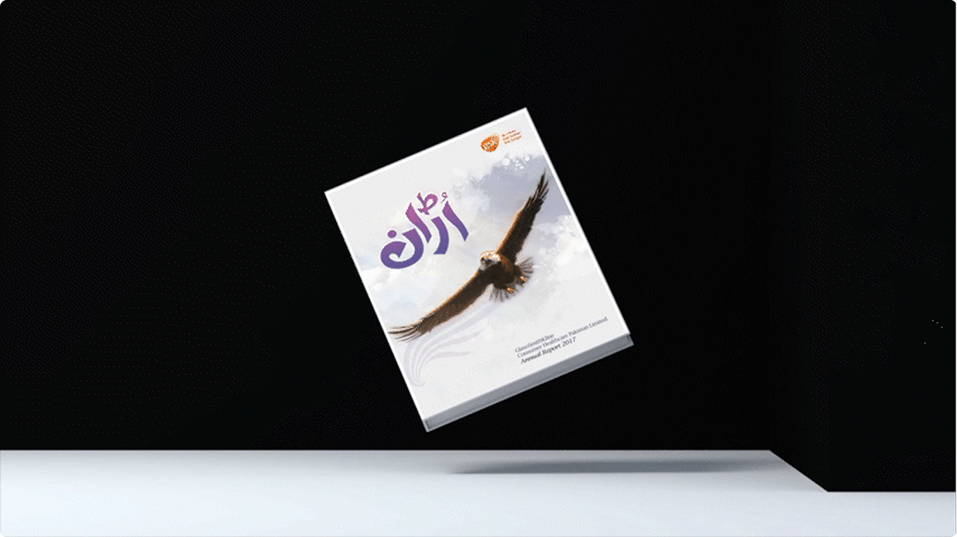 GSK 2017